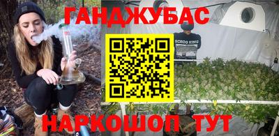 прущие крисы Будённовск