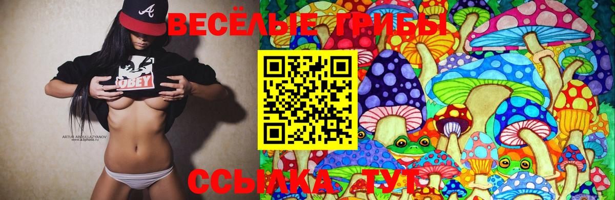 даркнет сайт  Вход с VPN  Галлюциногенные грибы Magic Shrooms  Приморско-Ахтарск  Галлюциногенные грибы GOLDEN TEACHER 