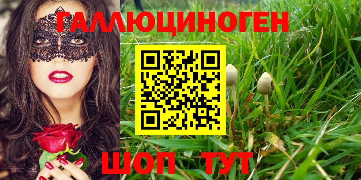 Псилоцибиновые грибы ЛСД Приморско-Ахтарск